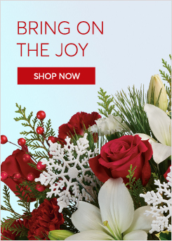 Christmas Flowers Delivery