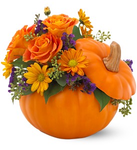 Teleflora's Pumpkin Patch Bouquet in Preston MD, The Garden Basket