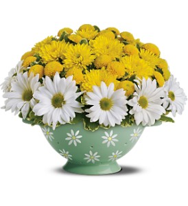 Teleflora's Daisy Colander Bouquet in Preston MD, The Garden Basket
