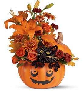 Teleflora's Black Cat Bouquet in Preston MD, The Garden Basket