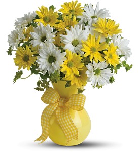 Teleflora's Upsy Daisy in Preston MD, The Garden Basket