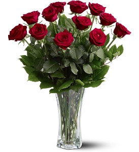 A Dozen Premium Red Roses in Preston MD, The Garden Basket