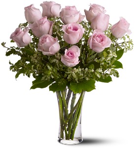 A Dozen Pink Roses in Preston MD, The Garden Basket