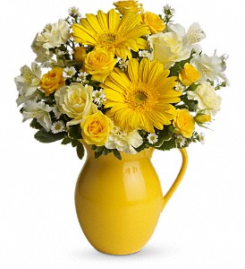 Teleflora's Sunny Day Pitcher of Cheer in Preston MD, The Garden Basket