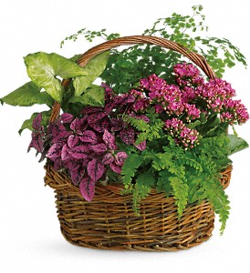 Secret Garden Basket in Preston MD, The Garden Basket