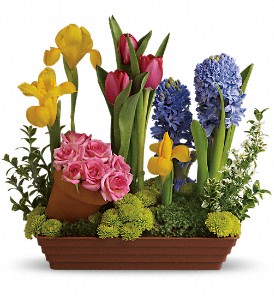 Spring Favorites in Preston MD, The Garden Basket