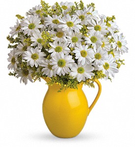 Teleflora's Sunny Day Pitcher of Daisies in Preston MD, The Garden Basket