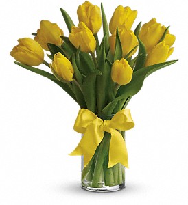 Sunny Yellow Tulips in Preston MD, The Garden Basket