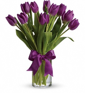 Passionate Purple Tulips in Preston MD, The Garden Basket