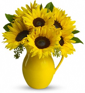 Teleflora's Sunny Day Pitcher of Sunflowers in Preston MD, The Garden Basket
