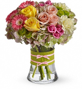 Fashionista Blooms in Preston MD, The Garden Basket