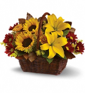 Golden Days Basket in Preston MD, The Garden Basket