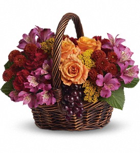 Sending Joy in Preston MD, The Garden Basket