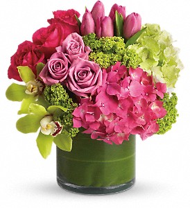 New Sensations in Preston MD, The Garden Basket