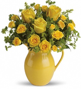 Teleflora's Sunny Day Pitcher of Roses in Preston MD, The Garden Basket