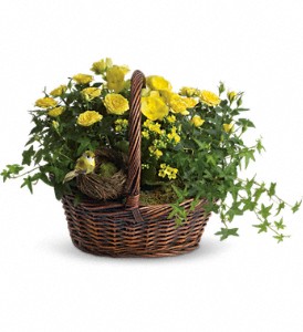 Yellow Trio Basket in Preston�MD, The Garden Basket