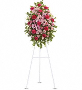 Pink Tribute Spray in Preston MD, The Garden Basket