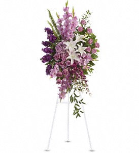 Sacred Garden Spray in Preston MD, The Garden Basket