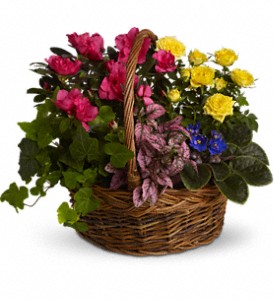 Blooming Garden Basket in Preston�MD, The Garden Basket