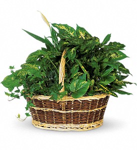 Large Basket Garden in Preston MD, The Garden Basket