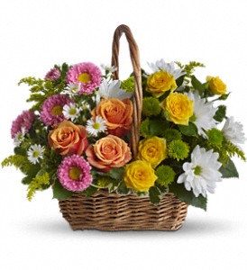 Sweet Tranquility Basket in Preston MD, The Garden Basket