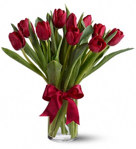 Radiantly Red Tulips in Preston MD, The Garden Basket