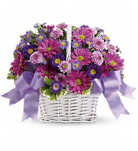 Daisy Daydreams in Preston MD, The Garden Basket