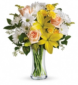 Teleflora's Daisies and Sunbeams in Preston MD, The Garden Basket
