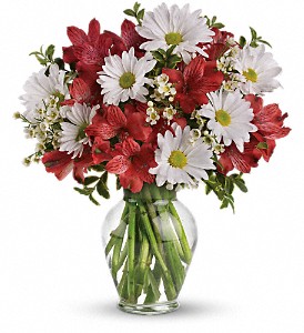 Dancing in Daisies in Preston MD, The Garden Basket