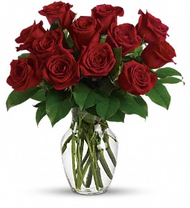Enduring Passion - 12 Red Roses in Preston MD, The Garden Basket