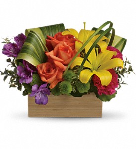Teleflora's Shades Of Brilliance Bouquet in Preston MD, The Garden Basket