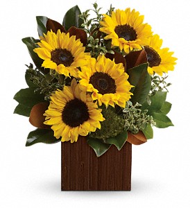 You're Golden Bouquet by Teleflora in Preston MD, The Garden Basket