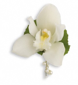 Shimmering Pearls Boutonniere in Preston MD, The Garden Basket