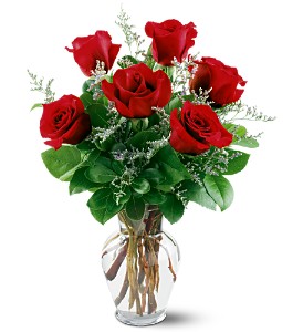6 Red Roses in Preston MD, The Garden Basket