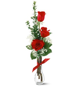 3 Red Roses in Preston MD, The Garden Basket