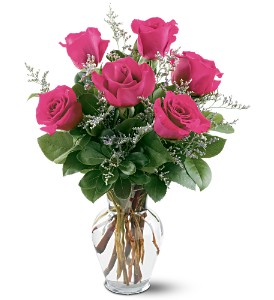 6 Hot Pink Roses in Preston MD, The Garden Basket