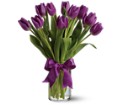 Passionate Purple Tulips in Preston MD The Garden Basket