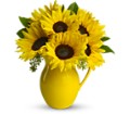 Teleflora's Sunny Day Pitcher of Sunflowers in Preston MD The Garden Basket