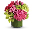New Sensations in Preston MD The Garden Basket