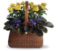Garden To Go Basket in Preston MD The Garden Basket