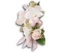 Beautiful Blush Corsage in Preston MD The Garden Basket