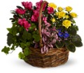 Blooming Garden Basket in Preston MD The Garden Basket