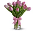 Precious Pink Tulips in Preston MD The Garden Basket