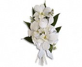 Graceful Orchids Corsage in Preston MD, The Garden Basket