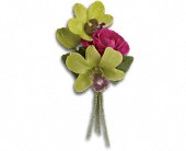 Orchid Celebration Boutonniere in Preston MD, The Garden Basket