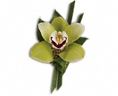 Green Orchid Boutonniere in Preston MD, The Garden Basket