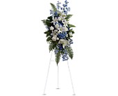 Ocean Breeze Spray in Preston MD, The Garden Basket